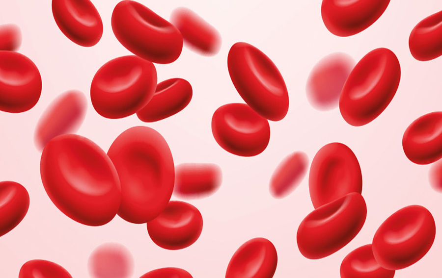 Read more about the article Hemoglobin Varieties: Biochemical Properties & Function