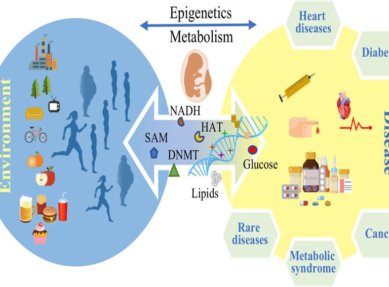 How DNA and Epigenetics Shape Health and Disease